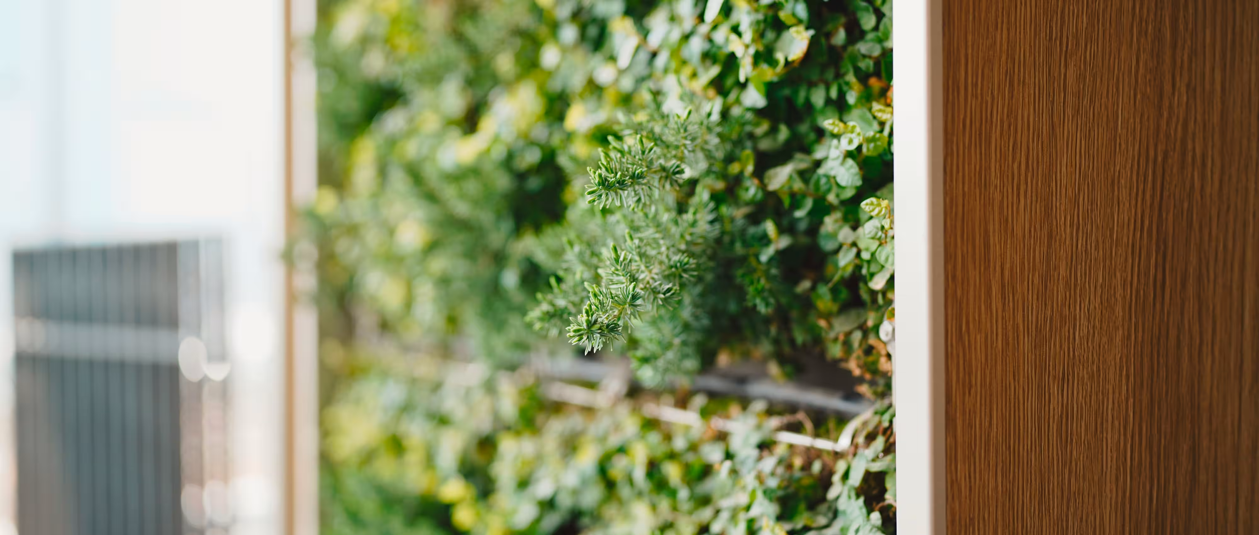 Biophilic Design Principles for Commercial Workplaces